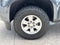 2019 Chevrolet Colorado 2WD Crew Cab 128.3 Work Truck