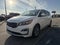 2019 Kia Sedona EX FWD